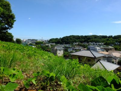 中川八幡山公園（都筑中央公園、「境田の暮雪」方面）

