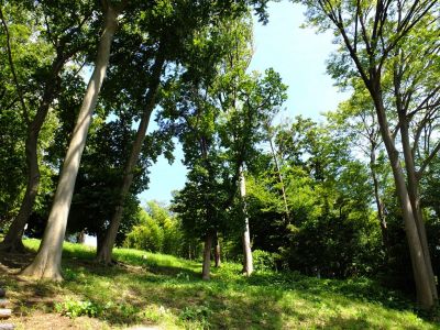 中川八幡山公園
