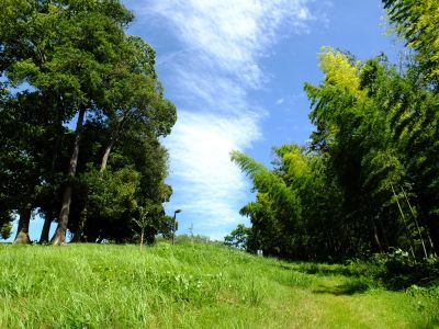 中川八幡山公園
