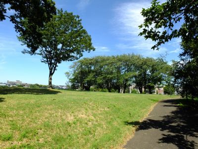中川八幡山公園
