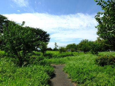 中川八幡山公園

