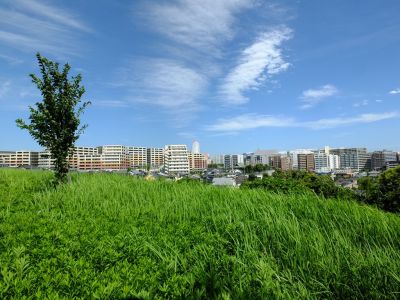 中川八幡山公園

