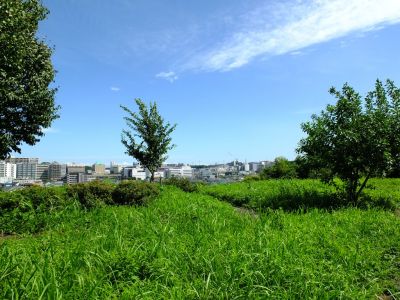中川八幡山公園

