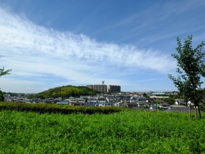 中川八幡山公園
