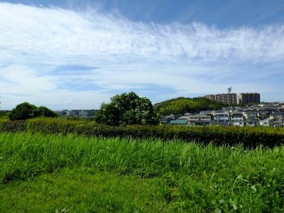 中川八幡山公園
