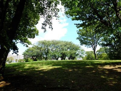 中川八幡山公園
