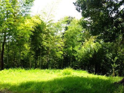中川八幡山公園
