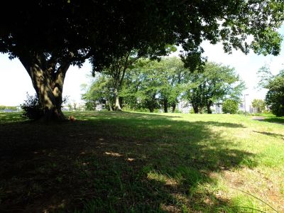 中川八幡山公園
