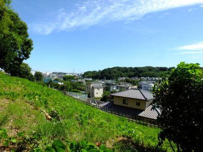境田の暮雪（中川八幡山公園より）
