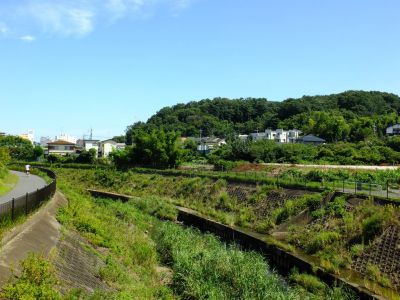 境田の暮雪（早渕川）
