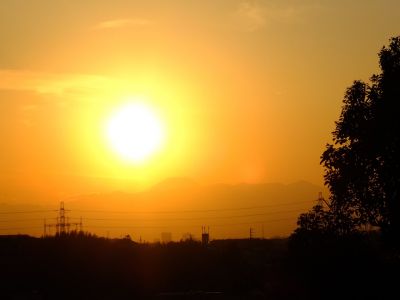 中川のハウスクエア近く（中川西小学校隣）の歩道

