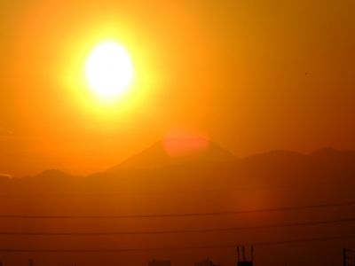 中川のハウスクエア近く（中川西小学校隣）の歩道
