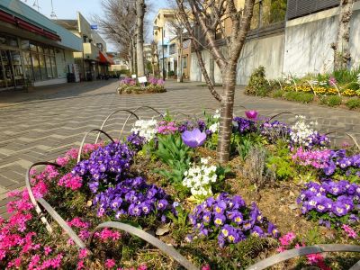花のある商店街（荏田近隣センター）
