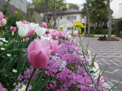 花のある商店街荏田近隣センター
