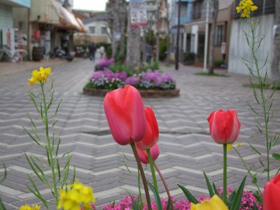 花のある商店街荏田近隣センター
