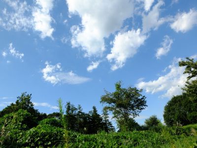 通称「柚木の丘」より
