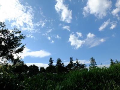 通称「柚木の丘」より
