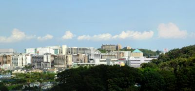 通称「柚木の丘」より
