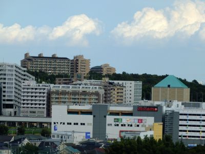 通称「柚木の丘」より
