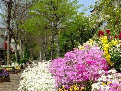 花のある商店街荏田近隣センター

