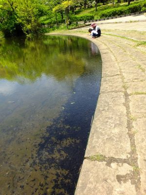 鴨池公園（おたまじゃくし）
