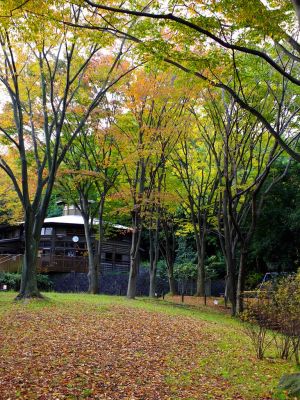 鴨池公園ログハウス
