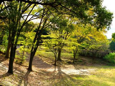 鴨池公園まんまる広場
