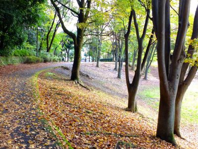鴨池公園まんまる広場
