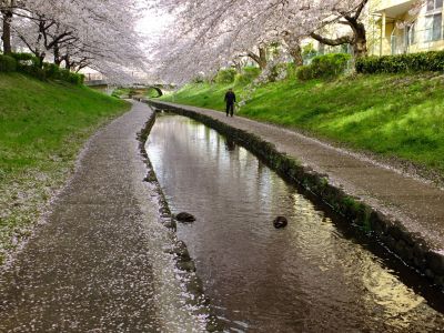 江川せせらぎ緑道
