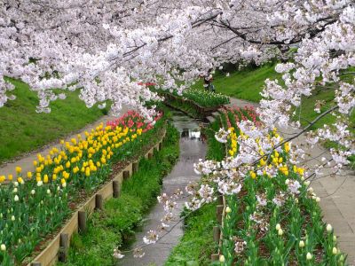 江川せせらぎ緑道
