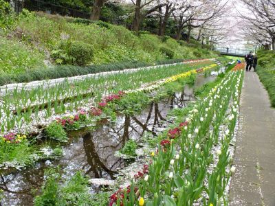江川せせらぎ緑道
