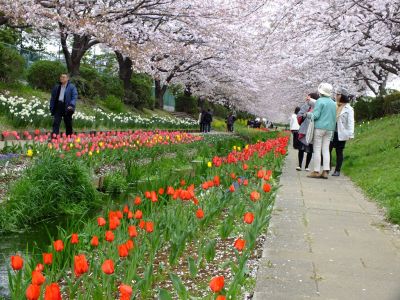 江川せせらぎ緑道
