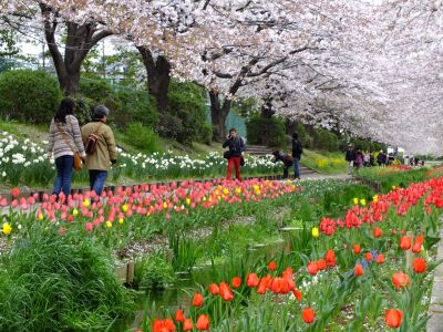 江川せせらぎ緑道
