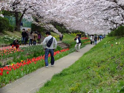 江川せせらぎ緑道

