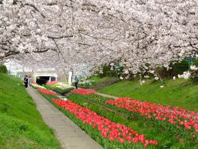 江川せせらぎ緑道

