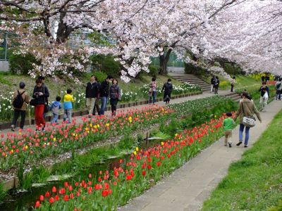 江川せせらぎ緑道
