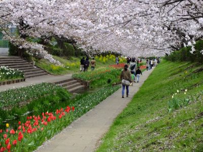 江川せせらぎ緑道
