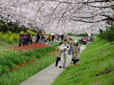 江川せせらぎ緑道
