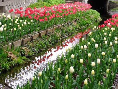 江川せせらぎ緑道
