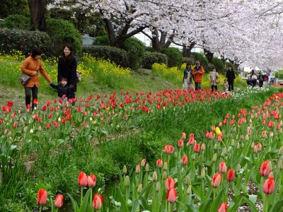 江川せせらぎ緑道
