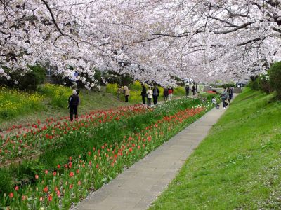 江川せせらぎ緑道
