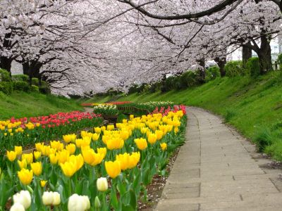 江川せせらぎ緑道
