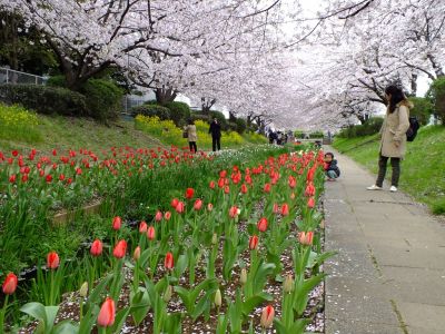 江川せせらぎ緑道
