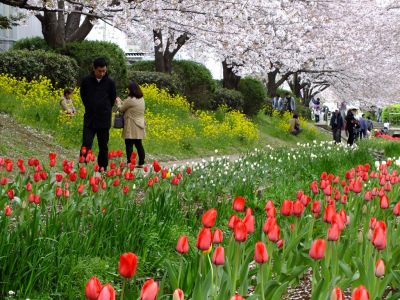 江川せせらぎ緑道
