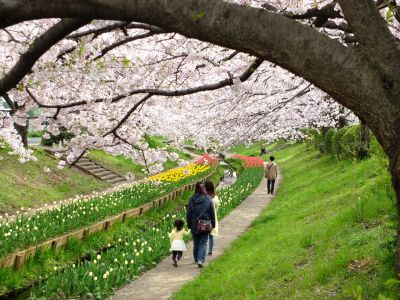 江川せせらぎ緑道
