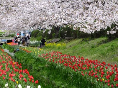 江川せせらぎ緑道
