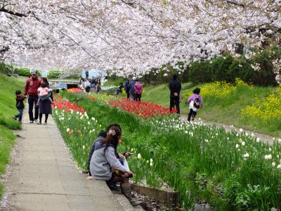 江川せせらぎ緑道

