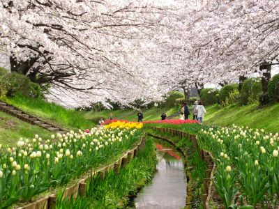 江川せせらぎ緑道
