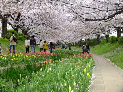 江川せせらぎ緑道
