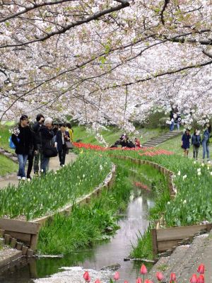 江川せせらぎ緑道
